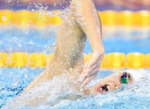 國際泳聯(lián)冠軍游泳系列賽（廣州站）